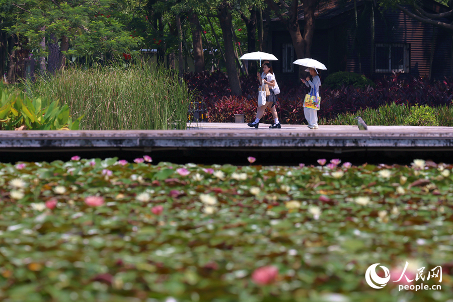 市民游客漫步于蓮池廊道。人民網(wǎng)記者 陳博攝