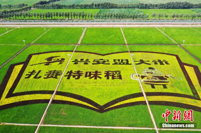 點(diǎn)擊進(jìn)入下一頁(yè)