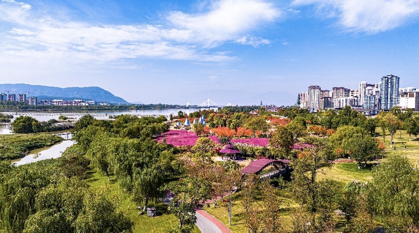 步入公園，仿佛走進“色彩的世界”。王淦攝（資料圖片）