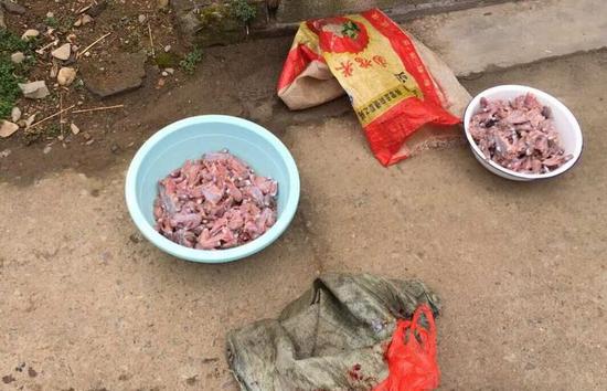 被宰殺的癩蛤蟆