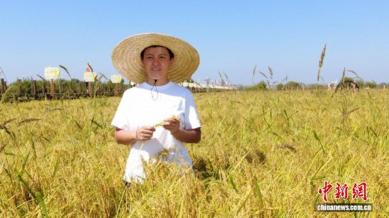 全國人大代表、寧安市渤海鎮(zhèn)上官地村黨支部書記、村委會主任陳雨佳在稻田中。 受訪者供圖